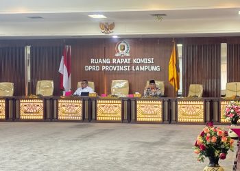 HIPMI Dukung Raperda Insentif Investasi, Dorong Iklim Usaha Ramah Pengusaha Muda di Lampung