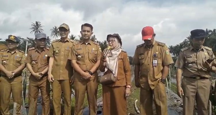 GERTAK MATA BABE: Strategi Tanggamus Lawan Inflasi, Dorong Ekonomi Petani