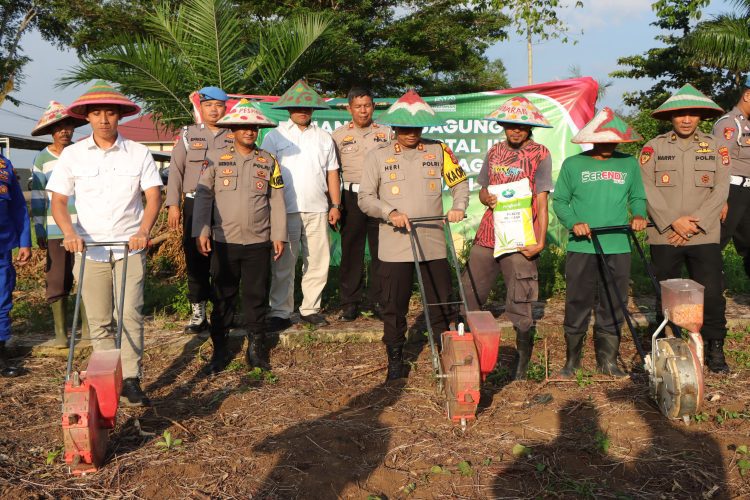 Polres Pesawaran Tanam Jagung Serentak: Polri Tak Hanya Jaga Aman, Tapi Juga Perut Rakyat