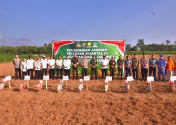 Dukung Swasembada Pangan 2025, Polda Lampung Tanam Jagung Serentak di Lahan Perhutanan Sosial