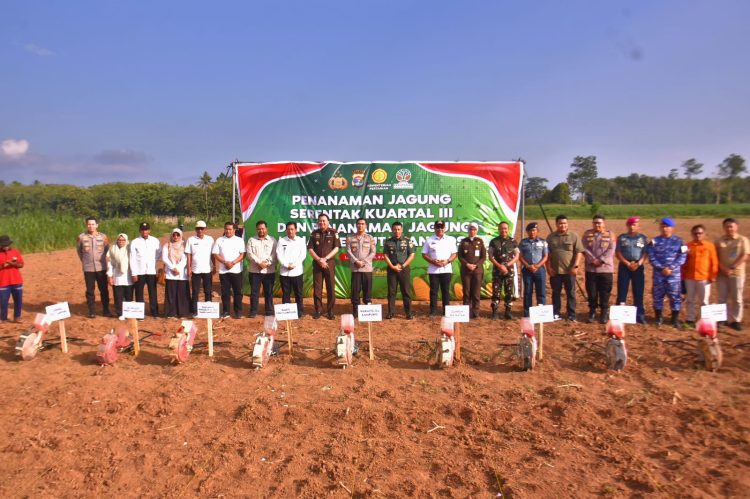Dukung Swasembada Pangan 2025, Polda Lampung Tanam Jagung Serentak di Lahan Perhutanan Sosial