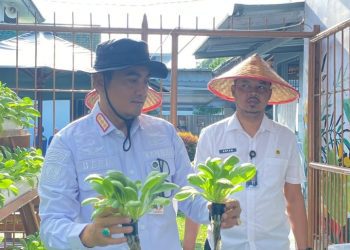 Panen Pakcoy di Lapas Kalianda: Kalapas Beni Nurrahman Tunjukkan Hasil Program Hidroponik