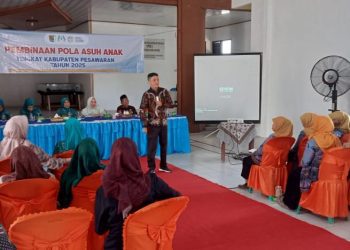 Pola Asuh Anak Disorot! TP PKK Pesawaran Sasar Desa Hanura dalam Program Pembinaan Menuju Indonesia Emas 2045
