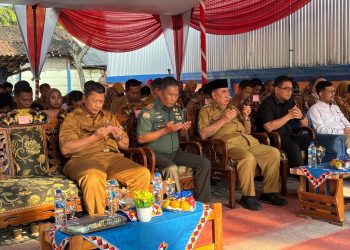 Pemkab Tanggamus Salurkan 1.337 Ton Beras untuk 66.887 Warga, Siap Tekan Kerawanan Pangan