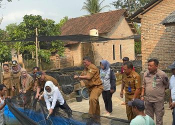 Tim TPID Kabupaten Tanggamus Tinjau Panen Ikan Lele Di Pekon Way Jaha Kecamatan Pugung