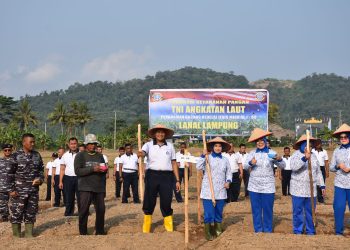 Lanal Lampung Tanam Kedelai di Pesawaran, Wujud Nyata TNI AL Dukung Ketahanan Pangan Nasional