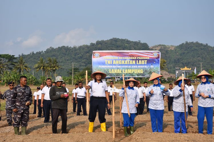 Lanal Lampung Tanam Kedelai di Pesawaran, Wujud Nyata TNI AL Dukung Ketahanan Pangan Nasional
