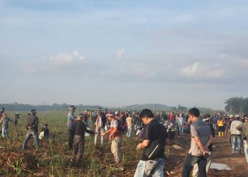 Momentum 17 Agustus, Warga Anak Tuha Nekat Bertani di Lahan PT BSA