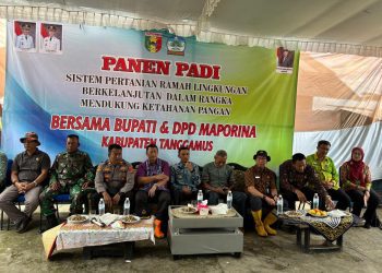 Wabup Tanggamus Agus Suranto Hadiri Panen Raya Padi Organik di Talang Padang