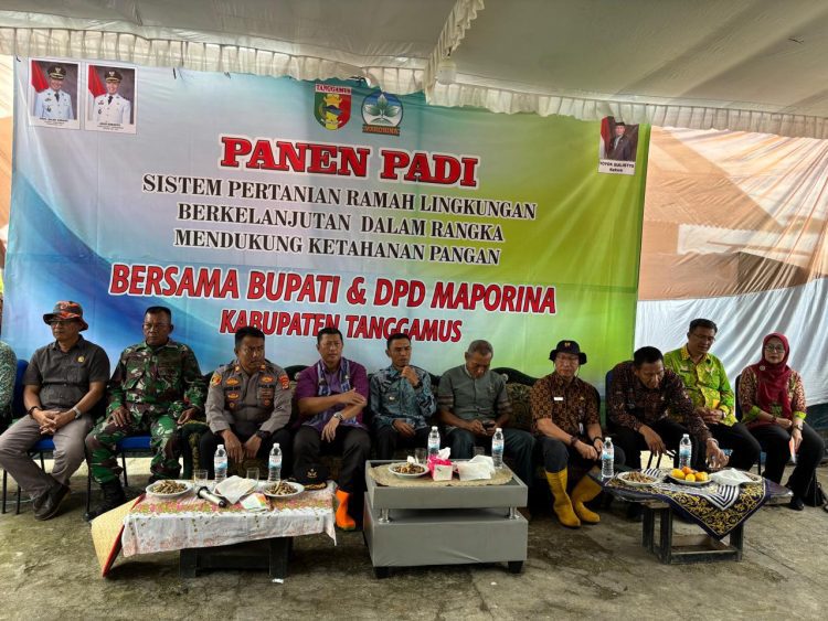 Wabup Tanggamus Agus Suranto Hadiri Panen Raya Padi Organik di Talang Padang
