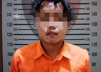 Janji Kencan di Michat Berujung Mimpi Buruk, Seorang Perempuan Diperkosa dan Dirampok di Perkebunan Pringsewu