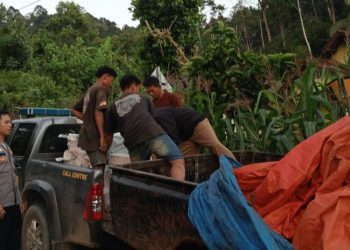 Polres Tanggamus Tangkap Komplotan Pencuri 85 Baterai PLTS, Tiga Pelaku Masih Buron