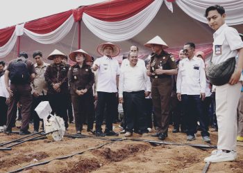 Pringsewu Siap Meningkatkan Produksi Jagung dan Perkuat UMKM Mitra Adhyaksa