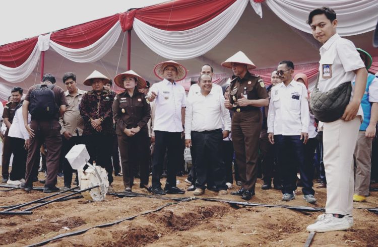 Pringsewu Siap Meningkatkan Produksi Jagung dan Perkuat UMKM Mitra Adhyaksa