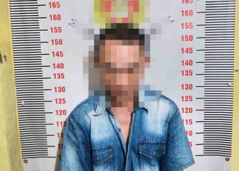 Polisi Berhasil Menangkap Pelaku Pencurian Jagung di Gudang Pakan Sidomulyo, Satu Rekan Masih Diburu