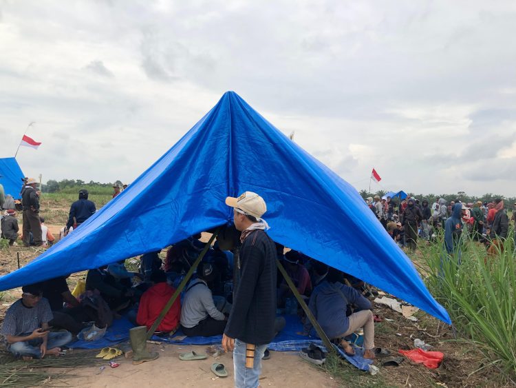 LBH Bandar Lampung Desak Penyelesaian Damai Konflik Lahan Anak Tuha