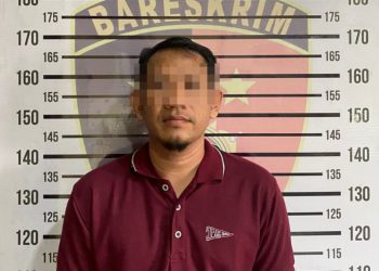 Pria di Pringsewu Ditahan Polisi, Diduga Gelapkan Mobil Honda Brio dengan Sistem Sewa