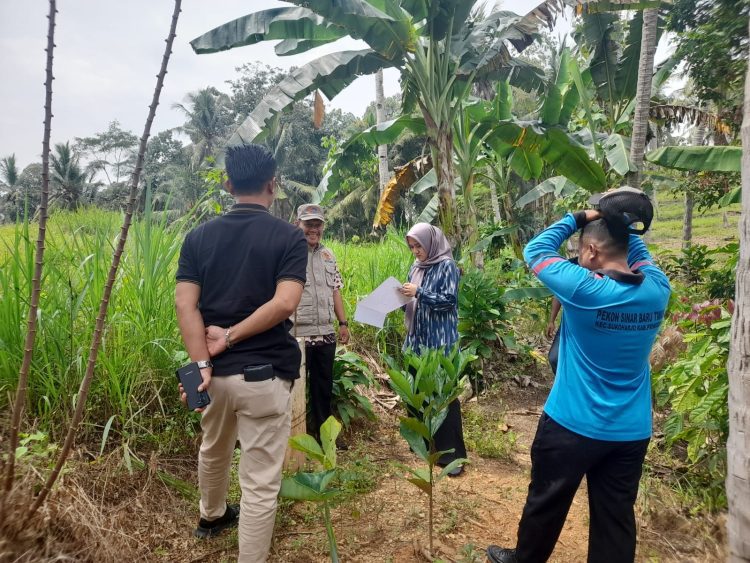 Antisipasi Sengketa Lahan, BPN Pringsewu Turun Langsung Tentukan Batas Tanah Warga