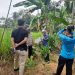 Antisipasi Sengketa Lahan, BPN Pringsewu Turun Langsung Tentukan Batas Tanah Warga