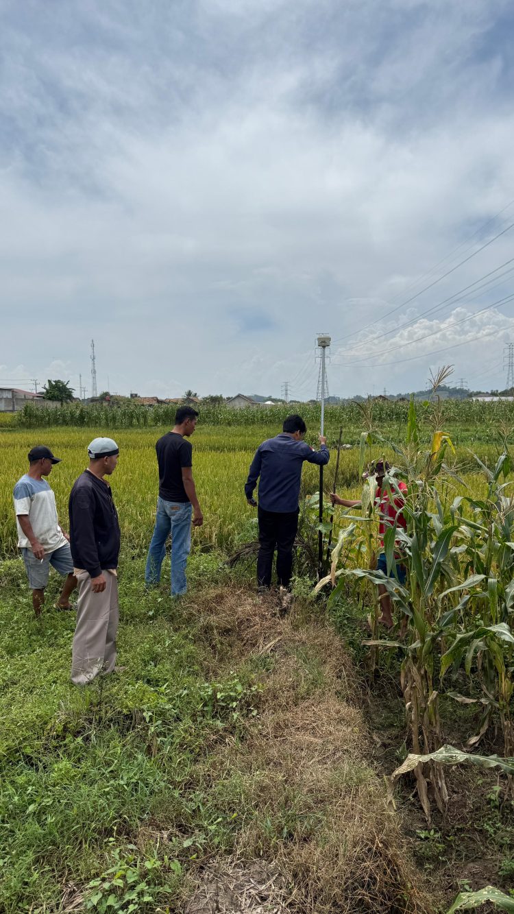 Tanah Wakaf NU di Pekon Gumuk Rejo Mulai Diukur untuk Sertifikasi Legalitas Aset Keagamaan