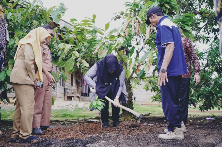 Wabup Pringsewu Hadiri Launching Program Pelatihan Agroforestri, Tekankan Peningkatan SDM dan Kelestarian Lingkungan