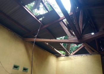 Pohon Kelapa Tumbang di Gebang, Bupati Pesawaran Langsung Turunkan Bantuan untuk Warga