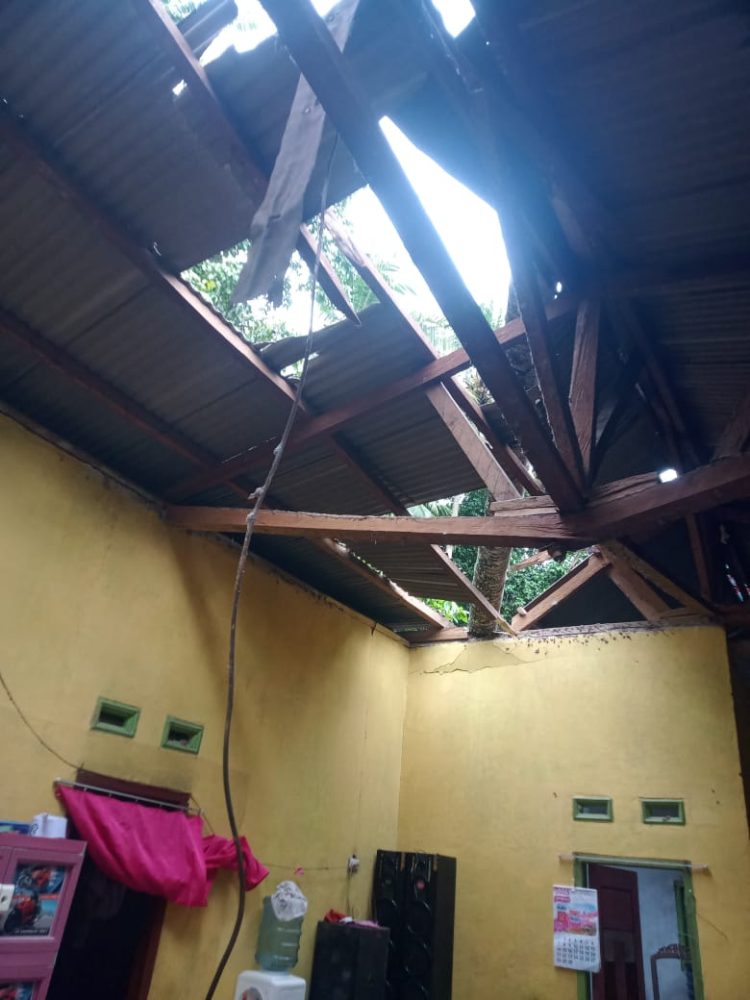 Pohon Kelapa Tumbang di Gebang, Bupati Pesawaran Langsung Turunkan Bantuan untuk Warga