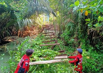 Membangun Harapan di Atas Sungai, Gubernur Lampung Gerakkan Gotong Royong Perbaiki Jembatan Viral Tampang Muda