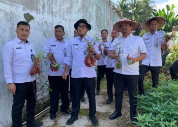 Panen Ubi Mantang Spektakuler di Lapas Kalianda: Program Ketahanan Pangan yang Bikin Penasaran