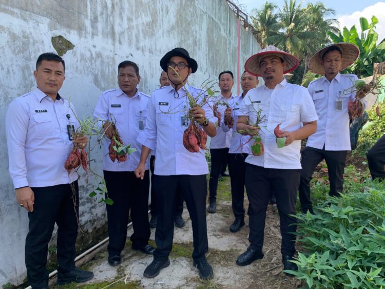Panen Ubi Mantang Spektakuler di Lapas Kalianda: Program Ketahanan Pangan yang Bikin Penasaran