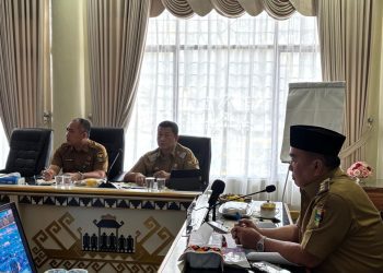 Bupati Tanggamus Paparkan Langkah Jitu Kendalikan Inflasi di Depan Mendagri, Harga Pangan Tetap Stabil