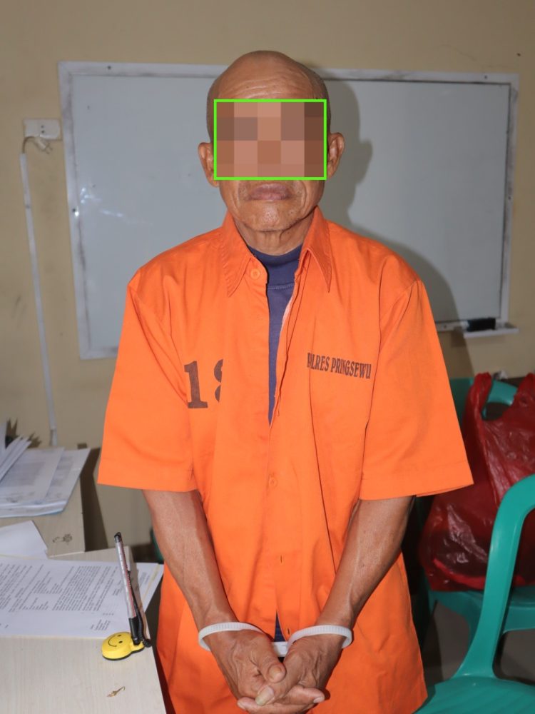 Ironi Kehidupan: Satpam, Penjaga Keamanan yang Berubah Menjadi Predator Anak di Pringsewu