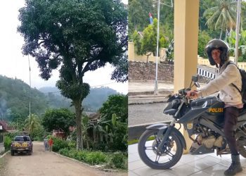 Polsek Semaka Polres Tanggamus Viral, Polisi Sigap Bantu Ibu Hamil Ambil Mangga Tinggi