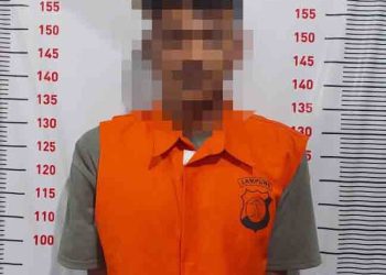 Polisi Ringkus Pelaku Pencurian Motor dan HP di Ketapang Lampung Selatan, Aksi Terungkap Berkat Sigapnya Warga