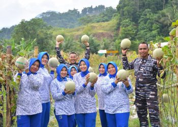 PANEN MELON & IKAN NILA: Yonif 7 Marinir TNI AL Panen Periodik ke-3 Tahun 2025, Wujud Nyata Komitmen Ketahanan Pangan