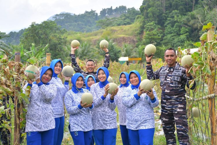 PANEN MELON & IKAN NILA: Yonif 7 Marinir TNI AL Panen Periodik ke-3 Tahun 2025, Wujud Nyata Komitmen Ketahanan Pangan