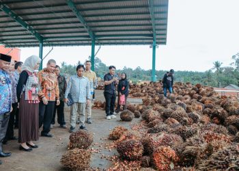 Pabrik Kelapa Sawit PT. Pesona Sawit Makmur Resmi Beroperasi Di Lampung Timur, Dorong Ekonomi Dan Serap Ribuan Tenaga Kerja