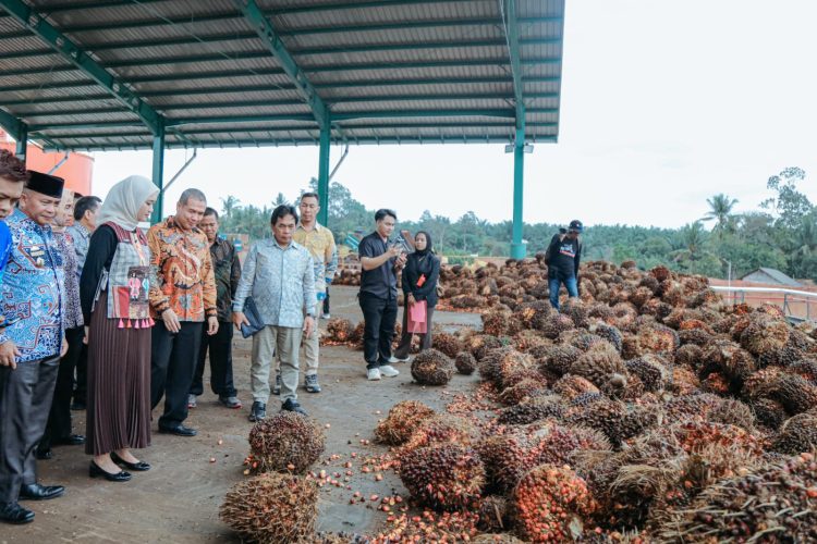 Pabrik Kelapa Sawit PT. Pesona Sawit Makmur Resmi Beroperasi Di Lampung Timur, Dorong Ekonomi Dan Serap Ribuan Tenaga Kerja