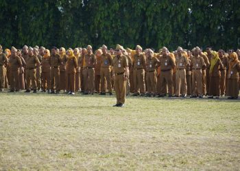 Menuju Lampung Lumbung Pangan Nasional: Gubernur Dorong Sinergi Pembangunan Perkebunan Berkelanjutan