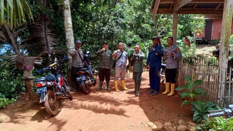 Beruang Muncul di Pekon Pesanguan, Polsek Pematang Sawa dan Polhut Turun Tangan Imbau Warga Waspada