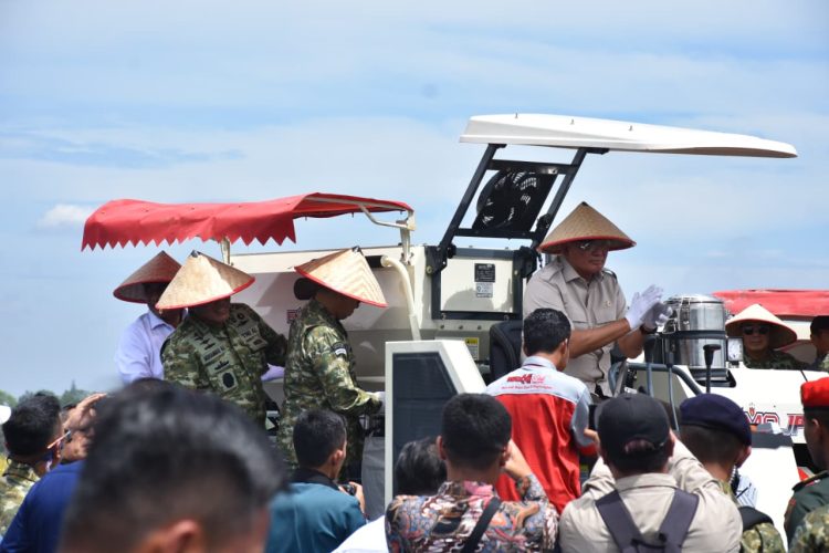 Lanal Lampung Dukung Panen Raya Kedelai, Bukti Nyata Komitmen TNI AL Wujudkan Ketahanan Pangan Nasional