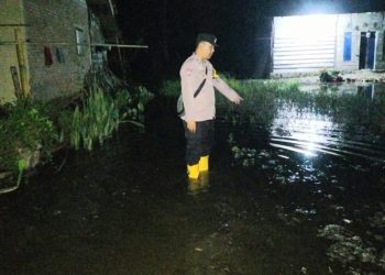 Banjir Rob Kembali Landa Pesisir Tanggamus! Polsek Pematang Sawa Bergerak Cepat Identifikasi dan Amankan Wilayah Terdampak