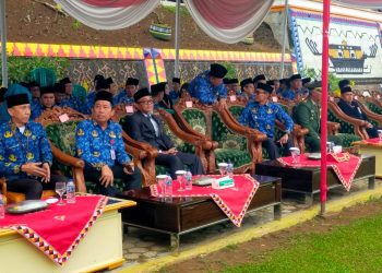 Wabup Tanggamus Ajak Masyarakat Jadi Pahlawan di Tengah Kehidupan Sehari-hari, Semangat Hari Pahlawan dan HKN 2025