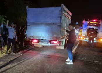 Kebakaran Truk Tangki CPO di Tanggamus, Diduga Akibat Pecah Ban: Polsek Wonosobo Tindak Cepat, Arus Lalu Lintas Kembali Normal