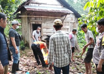 Evakuasi Dramatis Mayat Lansia di Gubuk Kebun Wonosobo, Tim Inafis Polres Tanggamus Turun Tangan