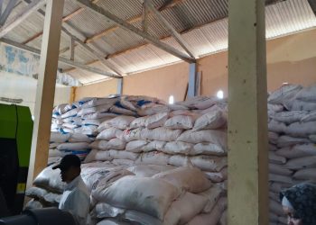 Dinas Pertanian Pringsewu Perketat Pengawasan Harga Pupuk: Kios Nakal Terancam Ditutup