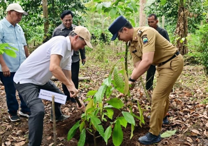 Gunung Rajabasa Jadi Sorotan Nasional, Menko Pangan Tegaskan Larangan Alih Fungsi Hutan Lindung