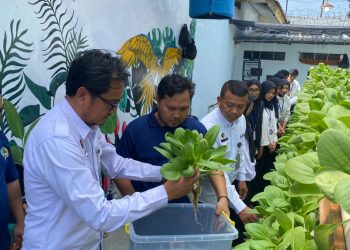 Panen Pakcoy dari Balik Jeruji: Program Hidroponik Lapas Kalianda Jadi Sorotan, Warga Binaan Tuai Harapan Baru