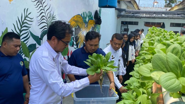 Panen Pakcoy dari Balik Jeruji: Program Hidroponik Lapas Kalianda Jadi Sorotan, Warga Binaan Tuai Harapan Baru