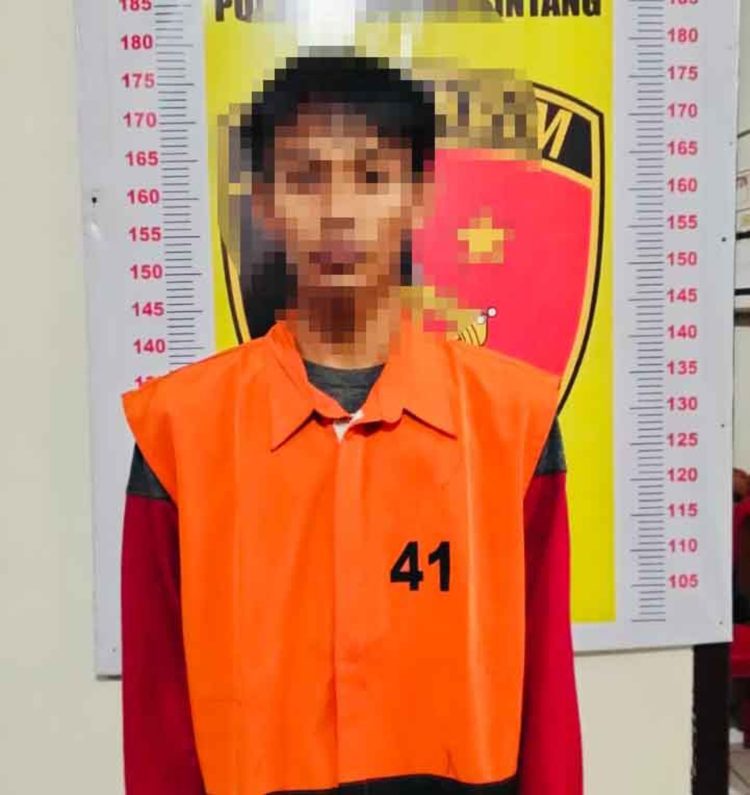 Polsek Tanjung Bintang Bongkar Sindikat Pencurian Kambing, Dua Pelaku Ditangkap Beserta Barang Bukti